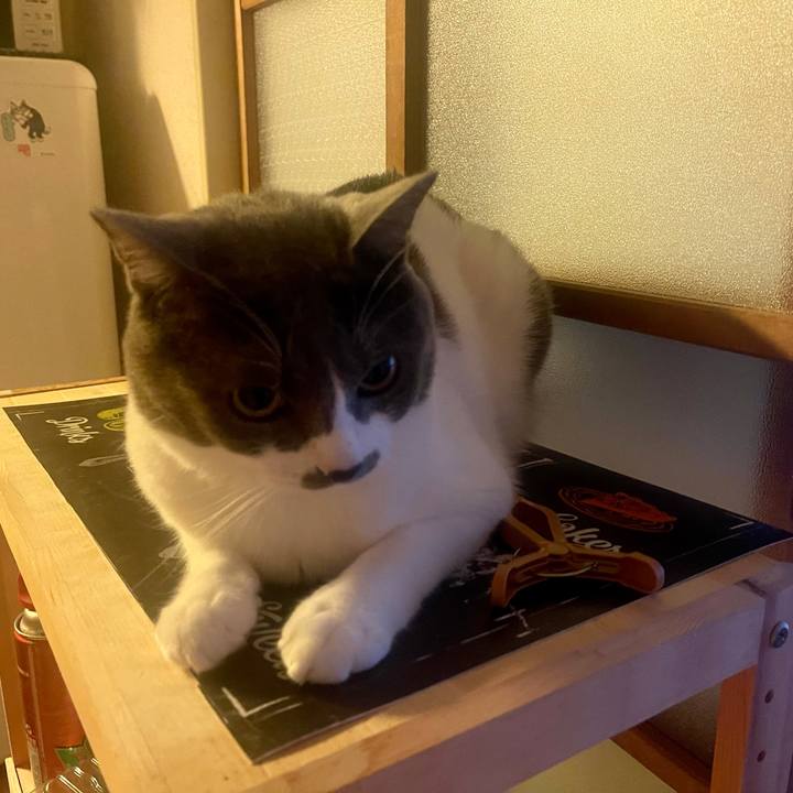 Acc53337 e3e8 4e40 b85f 2e399e6e2990 1629666257451