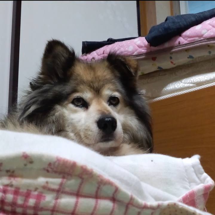 Acc55a8f 2313 4960 9b4b e7e9918a856f 1572767852099