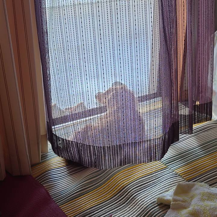 Acc56420 4f0c 4d86 8350 0b25c17a35ab 1654995699714