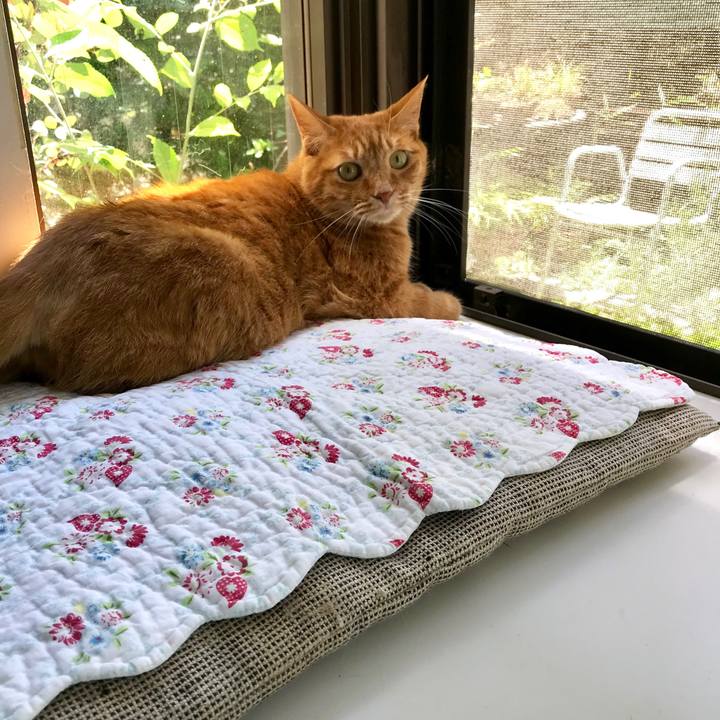 Acc57157 3a36 460c 8cf8 6008c421e1e4 1560744664539