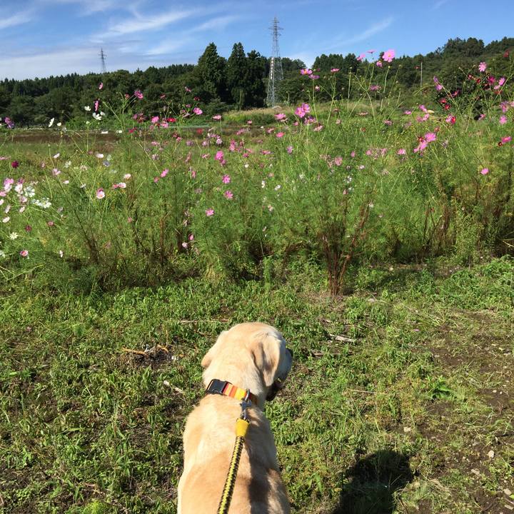 Acc5870c c59b 4ad9 9a63 1f0298e14254 1539521188147