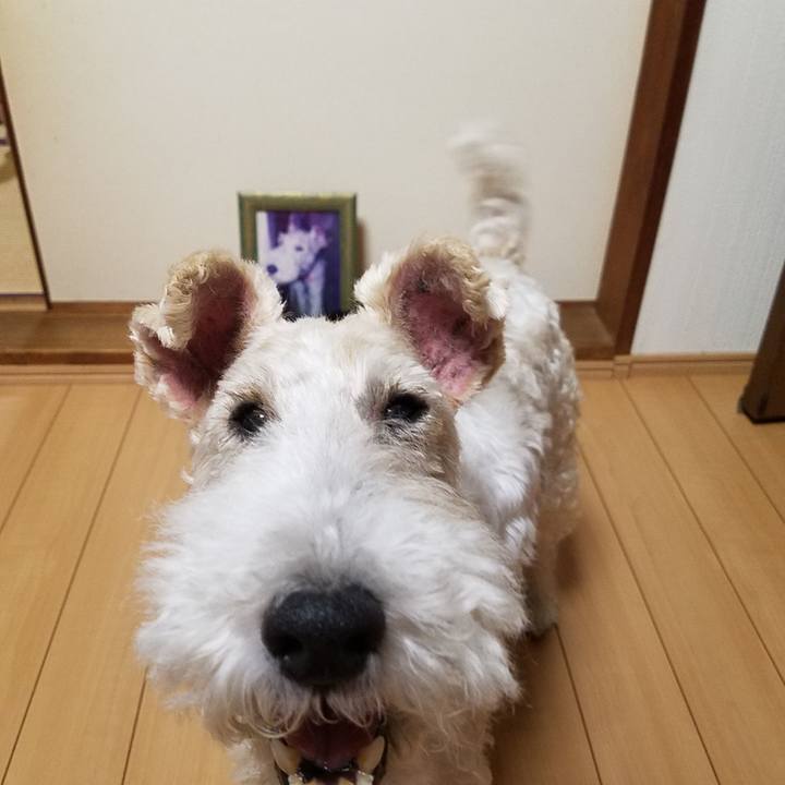 Acc5b4af 8e4e 495b aac5 d2619ef7d5d1 1538397756398