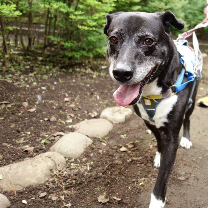 Acc5d2e6 0303 4926 a39e c0a6c59b8246 1749772832014