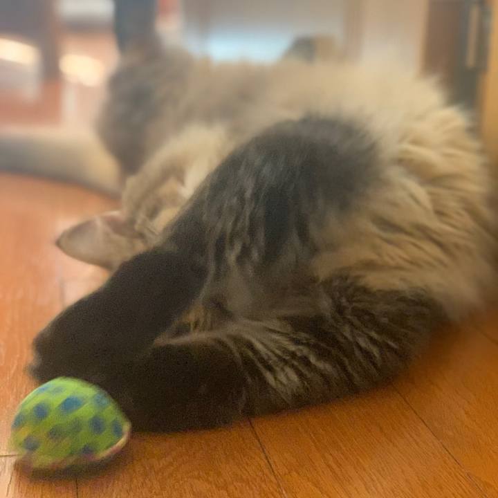 Acc5db93 5e97 4693 a363 65fe08195028 1754452508246