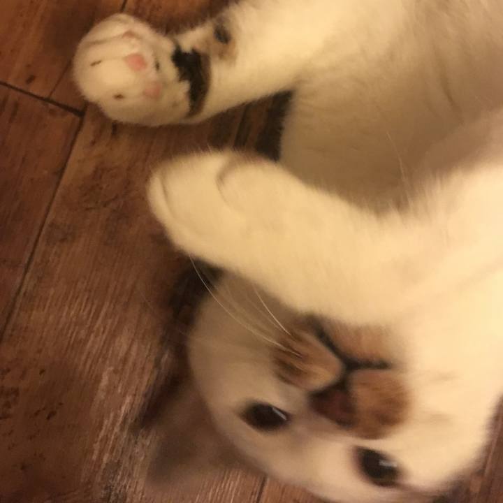 Acc5e4f6 0312 476c be8c 73aa0955966e 1544089519486