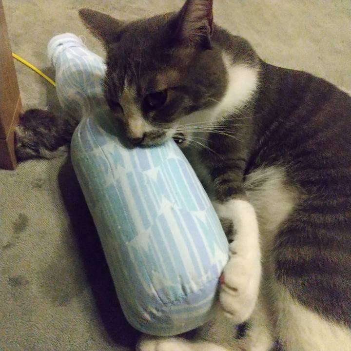 Acc5ea39 0ead 43e1 b8df 6624f9ea3e2a 1597329458538