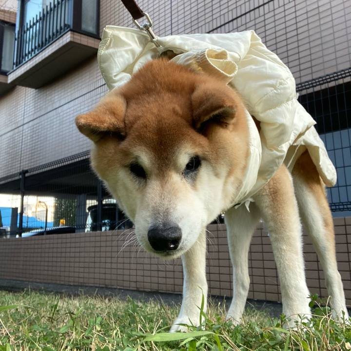 Acc5ee5c 6ef5 4416 a38a 6a62c348c78d 1610956047589