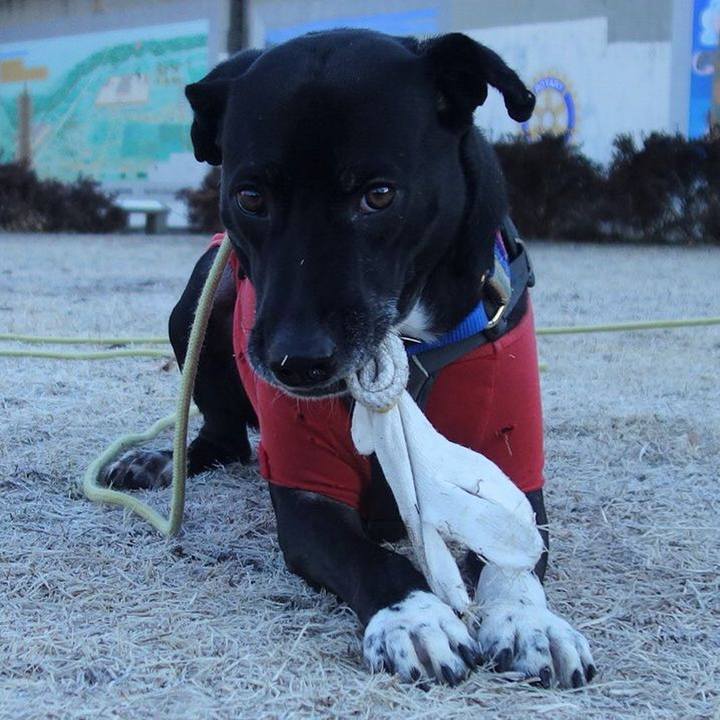 Acc602bf 9080 43b1 a8cb f05bb5ff8a2d 1642294472181