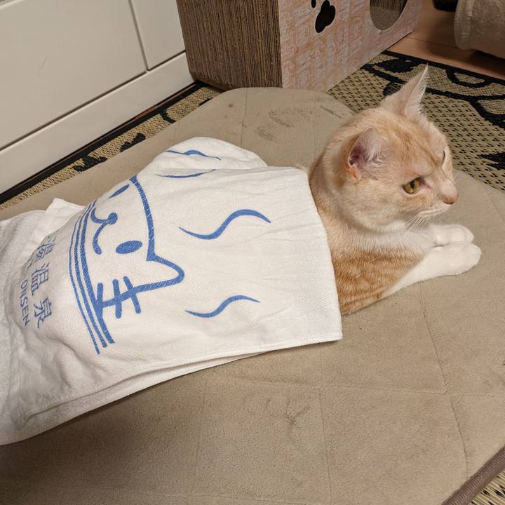 Acc64bdd 70f8 45e9 a6ea d0a47cc8447c 1688875813817