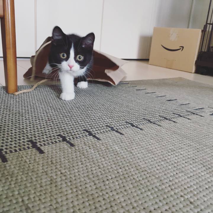 Acc6a9be 74cf 4686 8b35 d06381bcd5a8 1528413019863