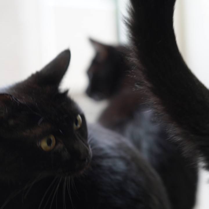 Acc6beba 75b0 4d93 a3b0 2e218680c678 1630626408184