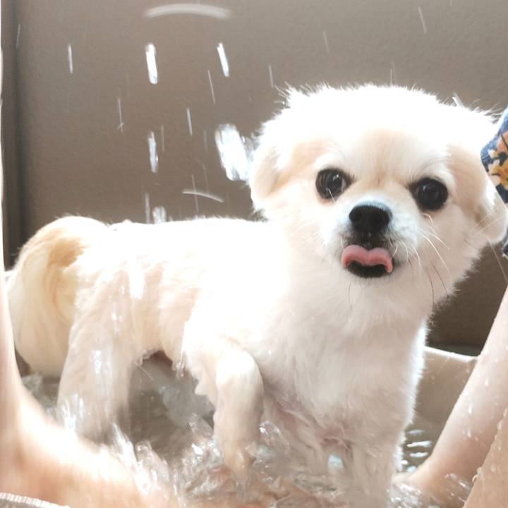 Acc6cdc4 d577 4598 a814 5bbd923d6e93 1756609902566