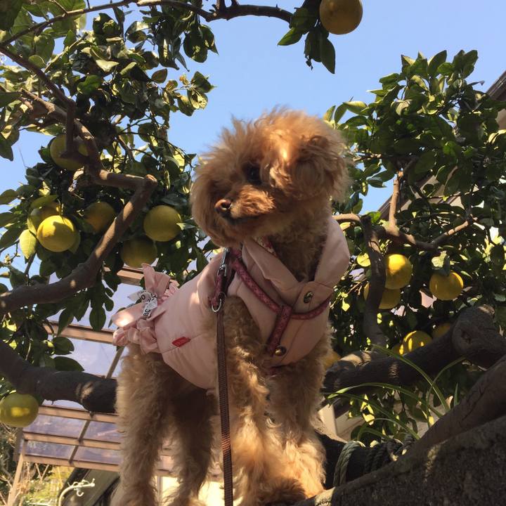 Acc70573 c8c0 4e2c a741 45d75ed2ec1c 1519455430325