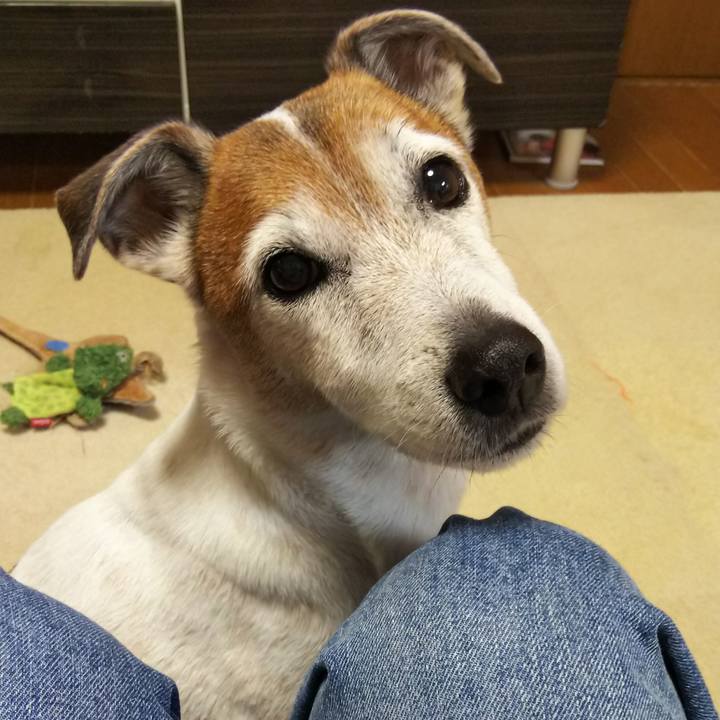 Acc757d2 5e76 4263 8ec5 0f41eb37358e 1523075777627