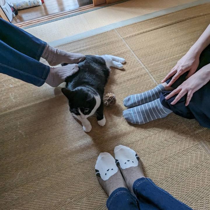 Acc7a872 88fc 4c50 ba27 ce4318432b4a 1698812961659