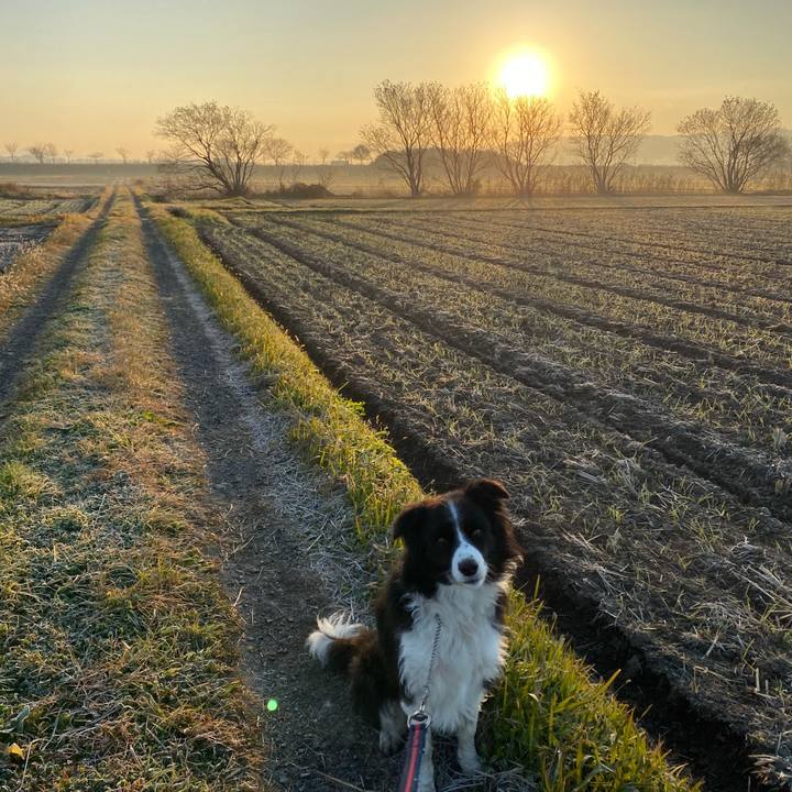 Acc7ab03 00fc 4355 8daa 6d6761144e16 1607125719169