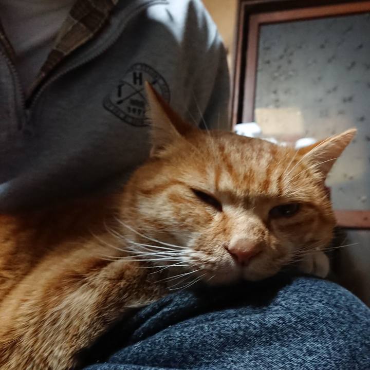 Acc7dcaa 57d4 45fd 9552 0b8a7112f676 1607543914924