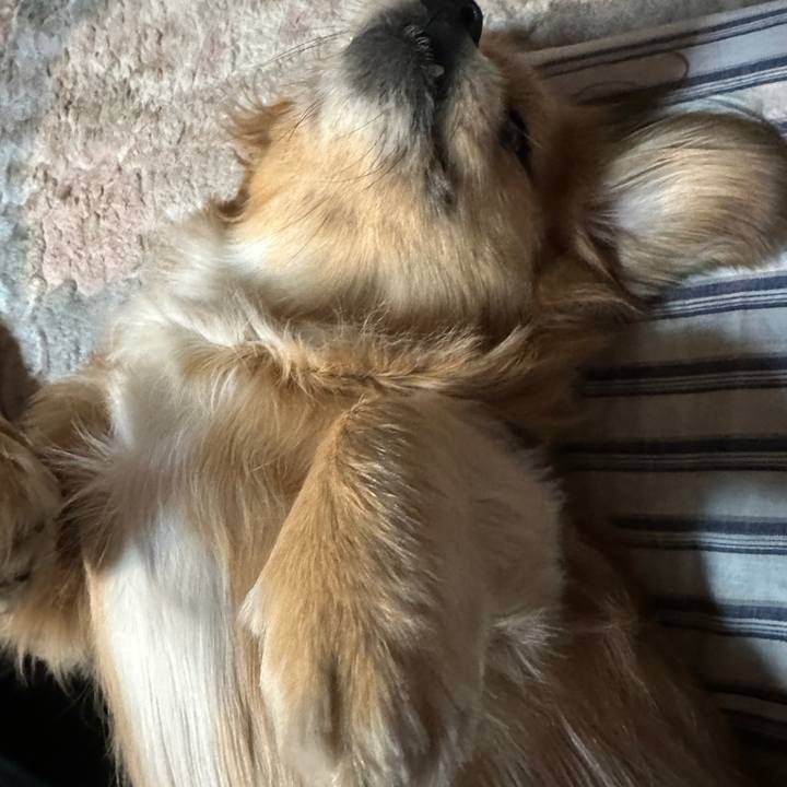 Acc7e641 9a20 478b a5cf 70aace8a9126 1703712549373