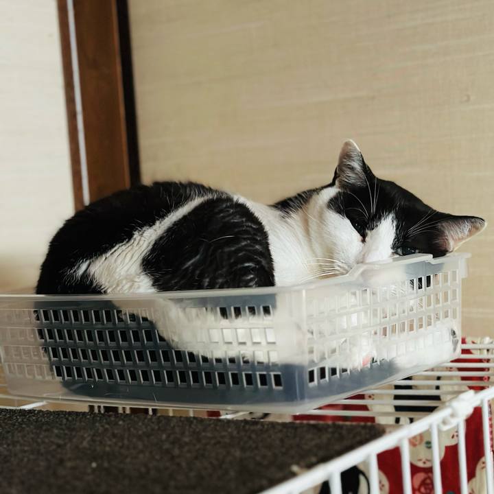 Acc8508a a54c 4f57 9b78 84f4b7f6f639 1693528374664