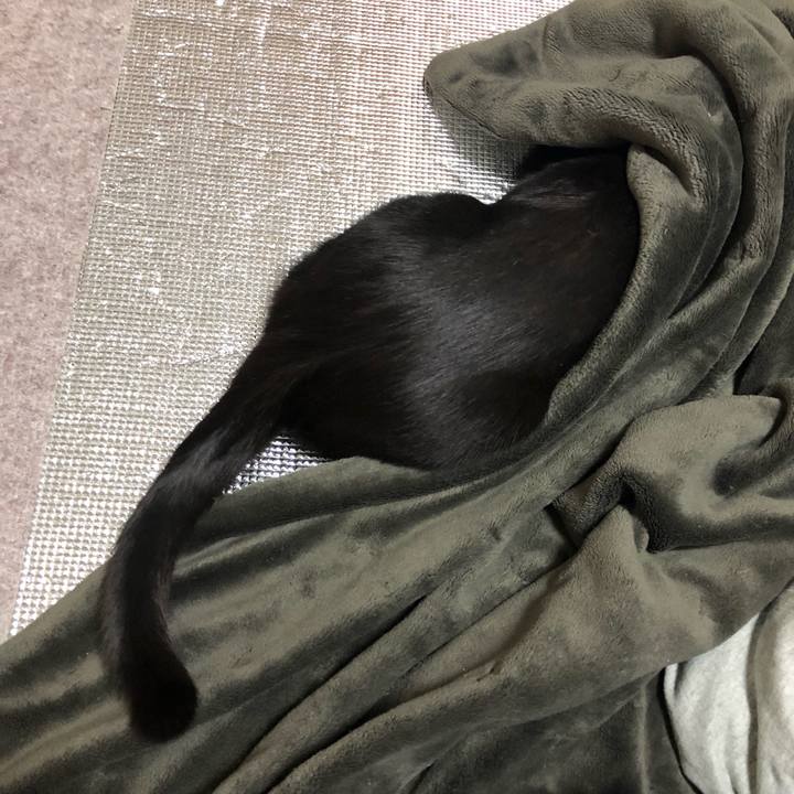 Acc85ebf 2e43 4dec 8e09 78b3600061e5 1557059835723