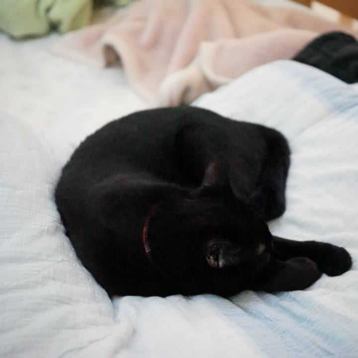 Acc8611e f21d 43a1 b67a ccc5fe1dcdc8 1540087698134