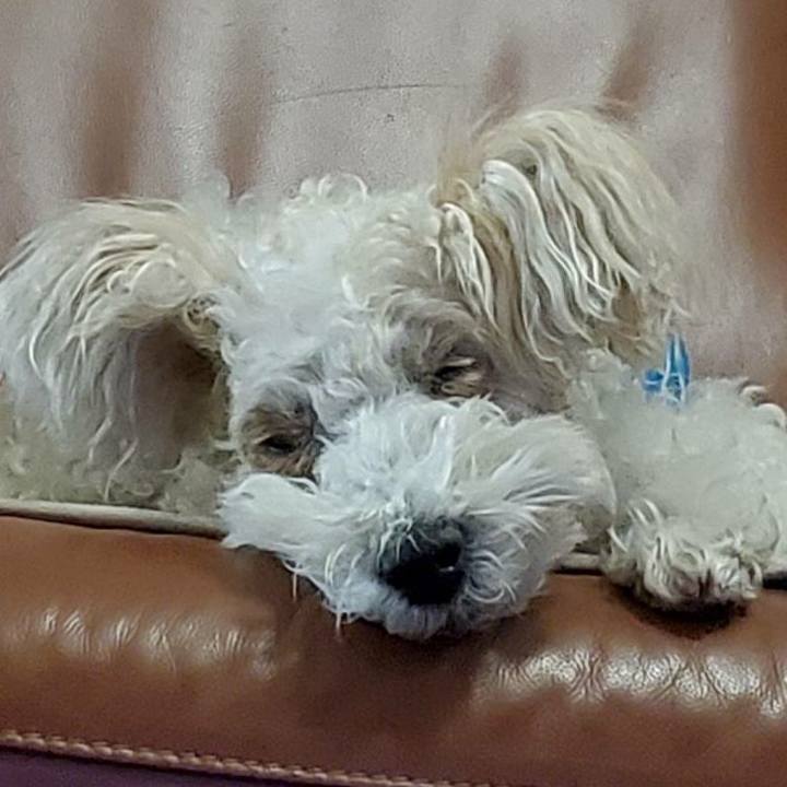 Acc86c28 f04f 4e88 8c57 e360a41d9d88 1576372480639