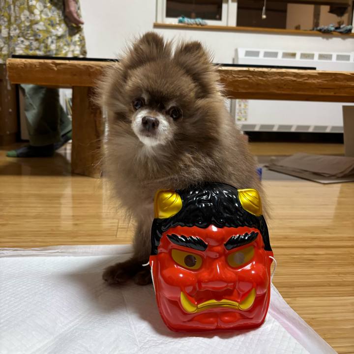 Acc86dc4 3f44 490b 842a 44b7a3bc9ecf 1770245216493