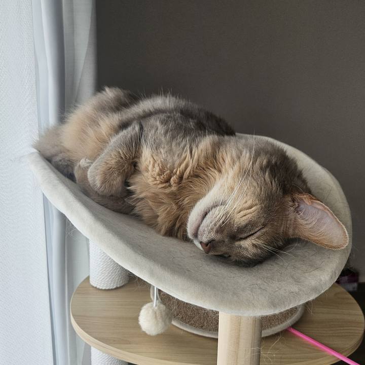 Acc8b4e9 cdfc 4bc6 806f 9b0b57ac3730 1751785889478