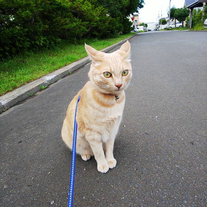 Acc8bf6d 09bd 4c55 8eda e2554ba20ed9 1593728076246