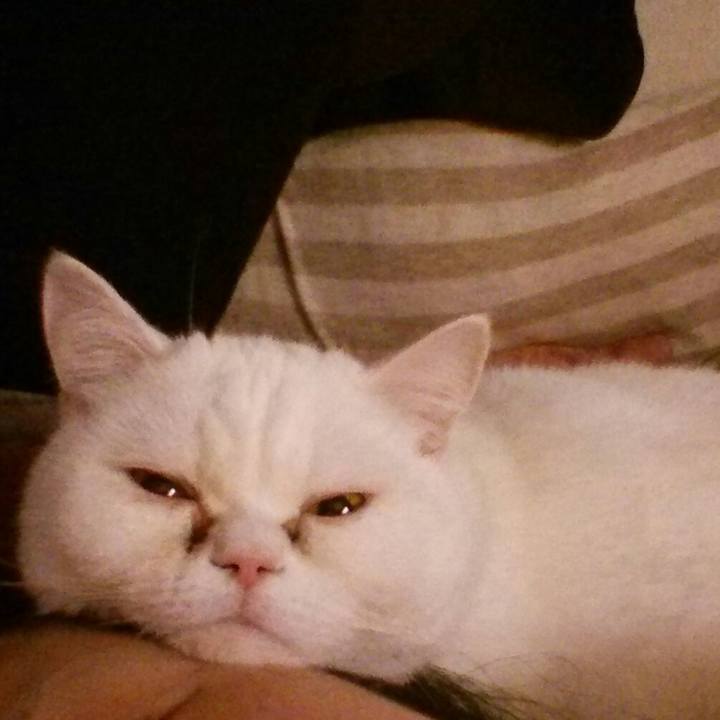 Acc8d4e2 9a11 4ed3 bcaf c766074f5bba 1518307450903