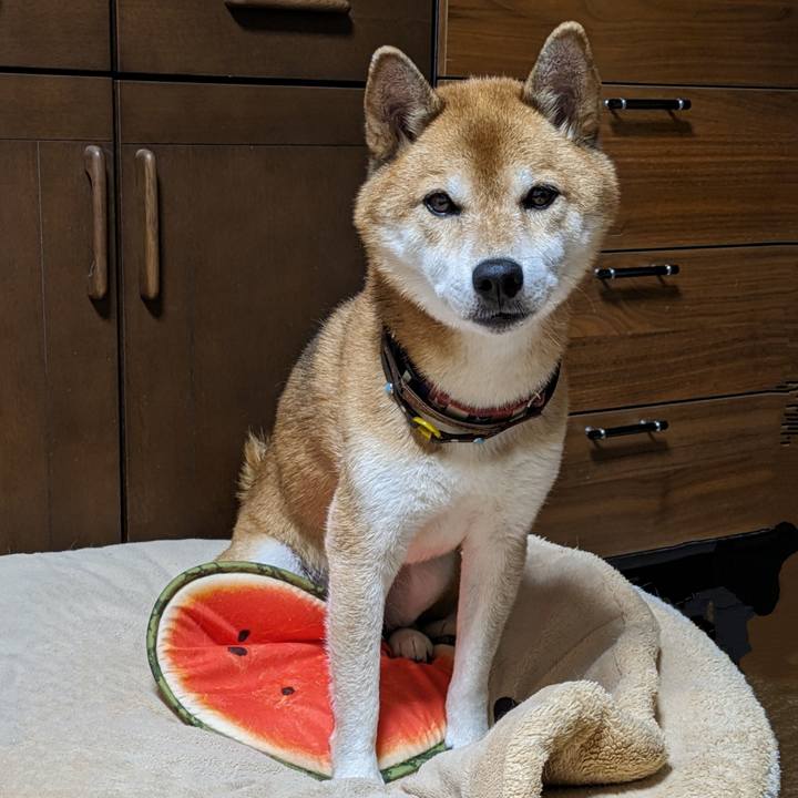 Acc8edcb 527e 4c4d 86a6 cc31120f7fb6 1695482197908