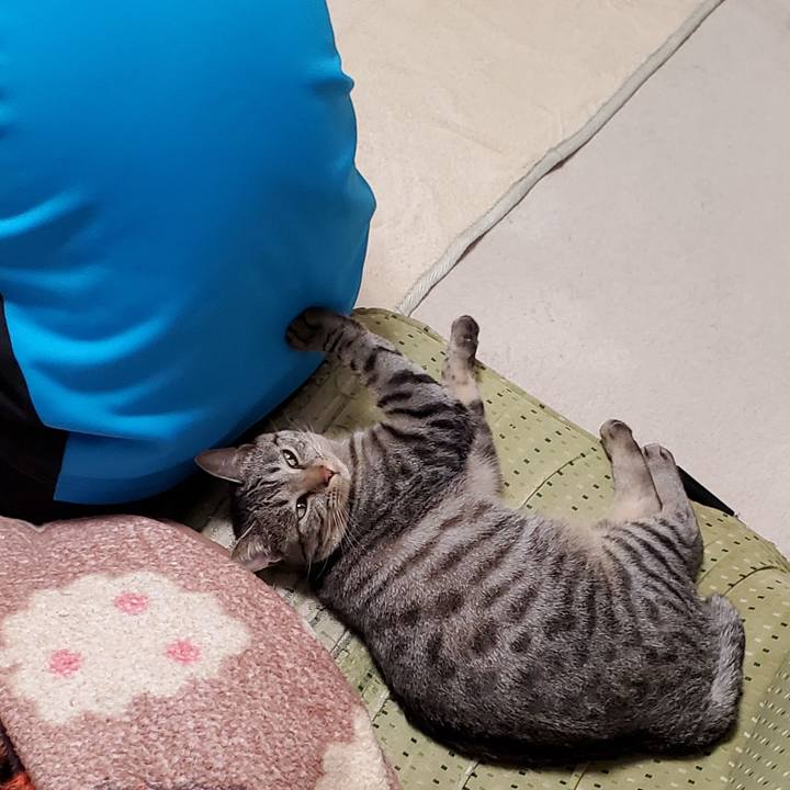 Acc95017 24a9 41dd 972a 75be8813597e 1703262192206