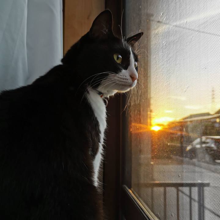 Acc95e21 a560 4833 8840 999e7d92a336 1628323208514