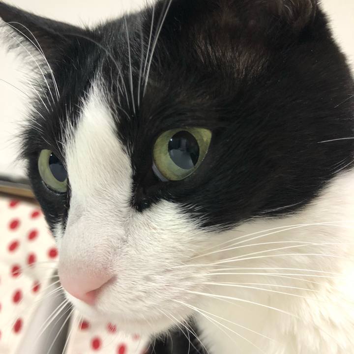 Acc96620 f457 4cfb b14e b333de8b16ba 1547895348934