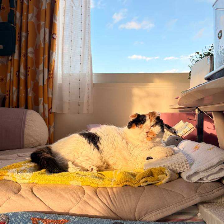 Acc9975c c0bc 404e a013 46c408d2f76b 1761700735391