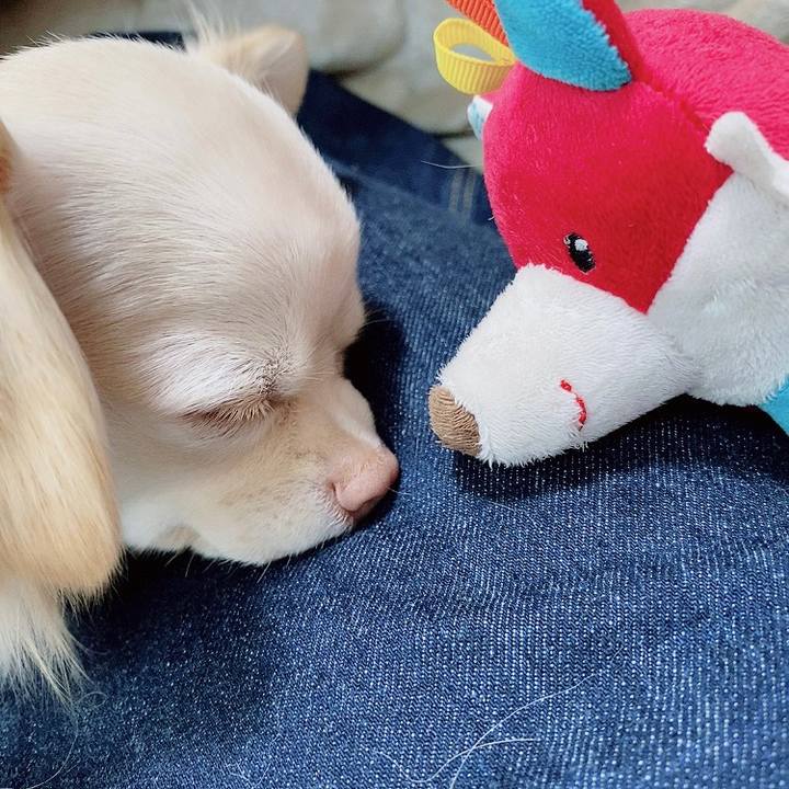 Acc9a876 3bcf 4b11 b0b5 5e2607bdf2e8 1616918222537