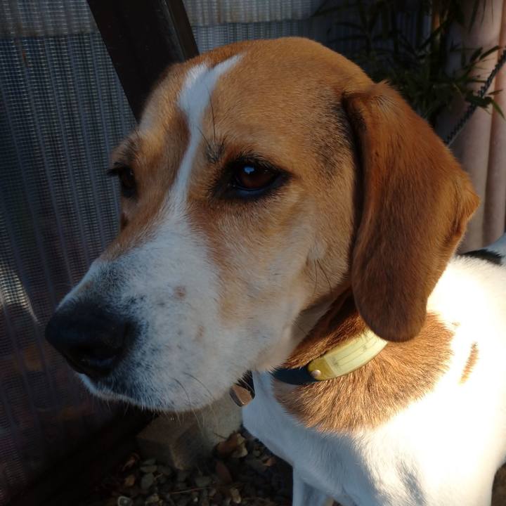 Acc9b30c 15f7 4fd7 910c 4fa733fa3251 1606390921407