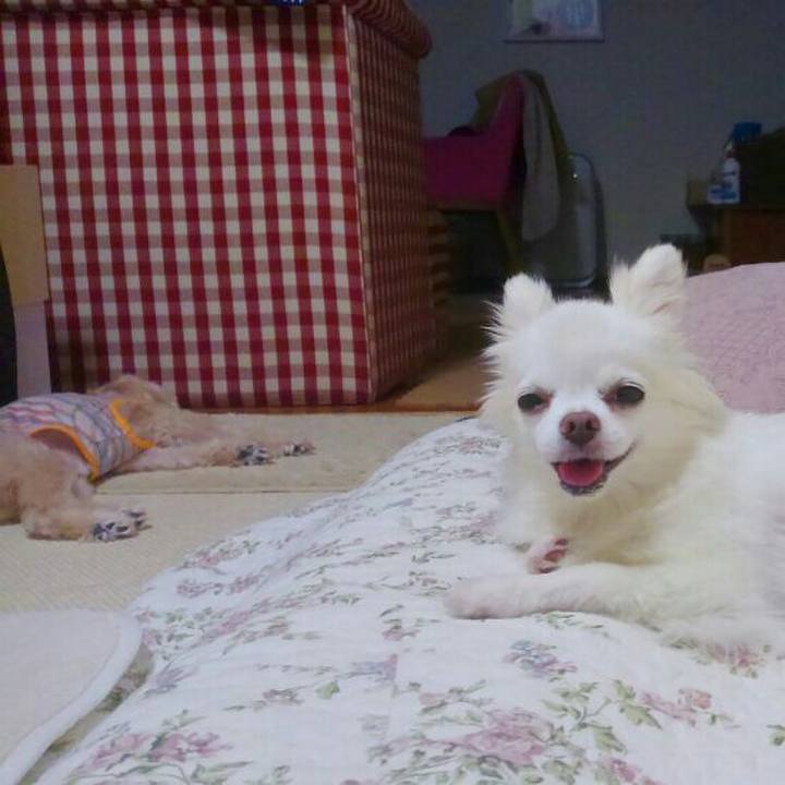 Acc9b38c 3792 4c87 b649 869c884496fa 1530787219223