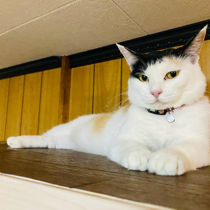 Acc9b93f 316f 4a49 b1c2 eaa64dc98f8f 1660252190478