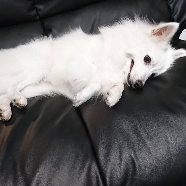 Acc9c656 6a8c 489a 8a82 ce5bafde43dd 1531405675260