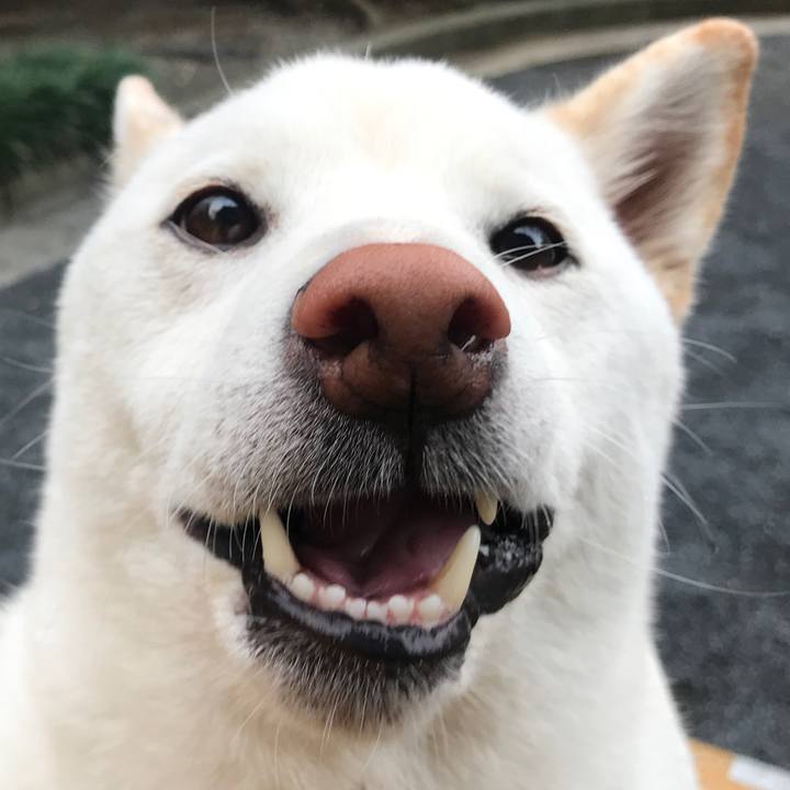 Acc9e394 ca24 4f31 98a0 62e97f2bc130 1539646865272