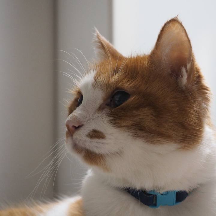 Acca6827 098b 4d96 b090 e28aace0269d 1763551804836