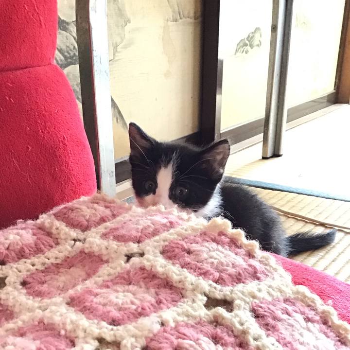 Acca952a 2da3 41b7 be7a 552422ad5cd6 1623477400164