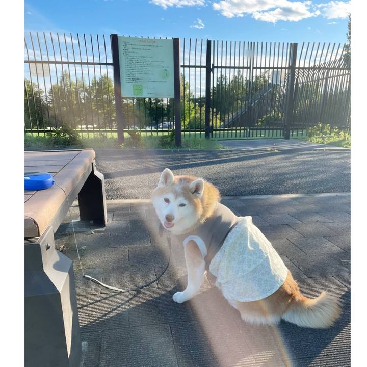 Accabcb6 838b 464b 8984 4d1e6f00e79d 1634747163076