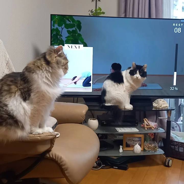 Accaeac7 31a7 4329 b19e c57eb17b9b9d 1677191670366