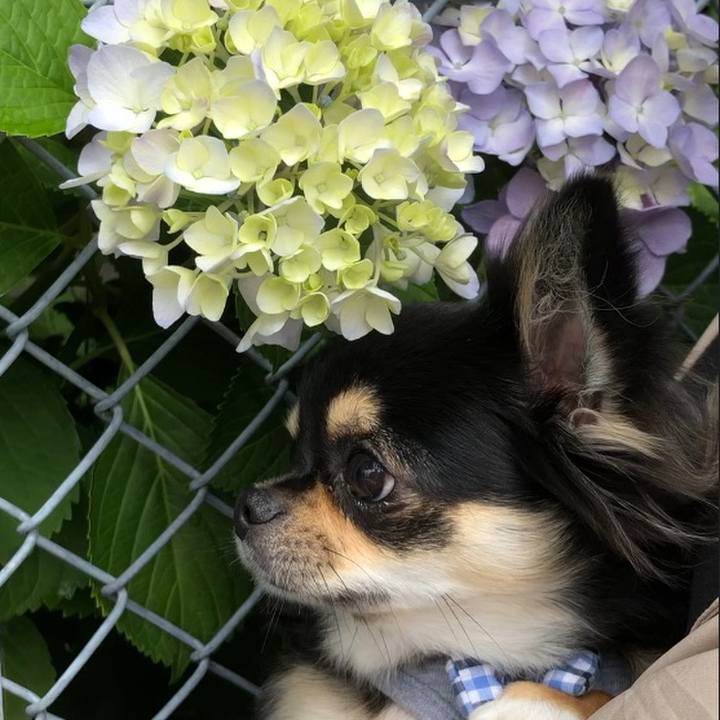 Accafd4d 2c66 4e27 a762 60ac5f5be4fc 1560639551395