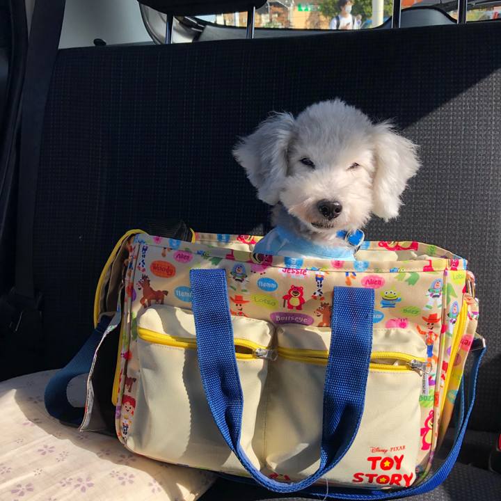 Accb058c a9de 4d81 a3ef 61b0d7a35e73 1756362523535