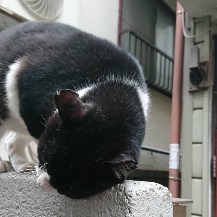 Accb32f5 d51e 4ca6 abde 8afe65a3a296 1585294370722