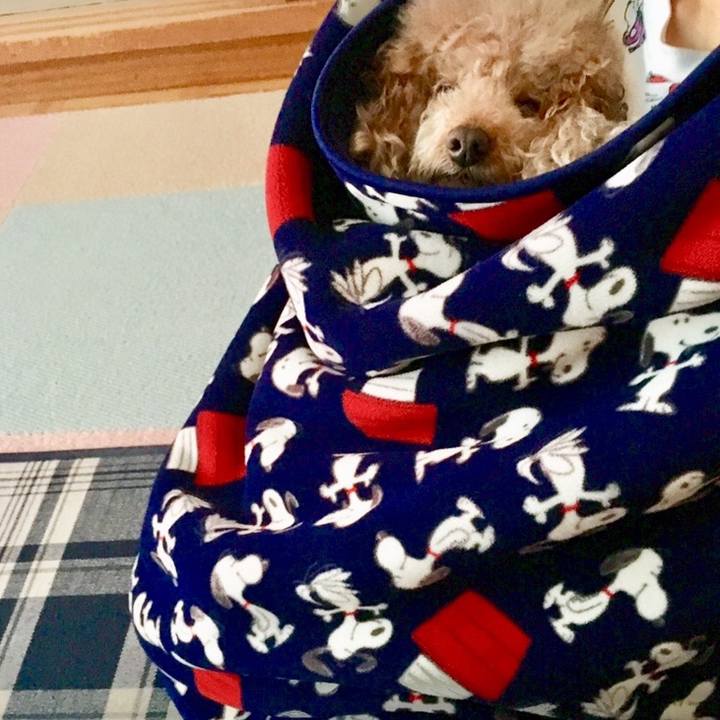 Accb593b a613 44f8 b29c d865c22558b4 1571667530730