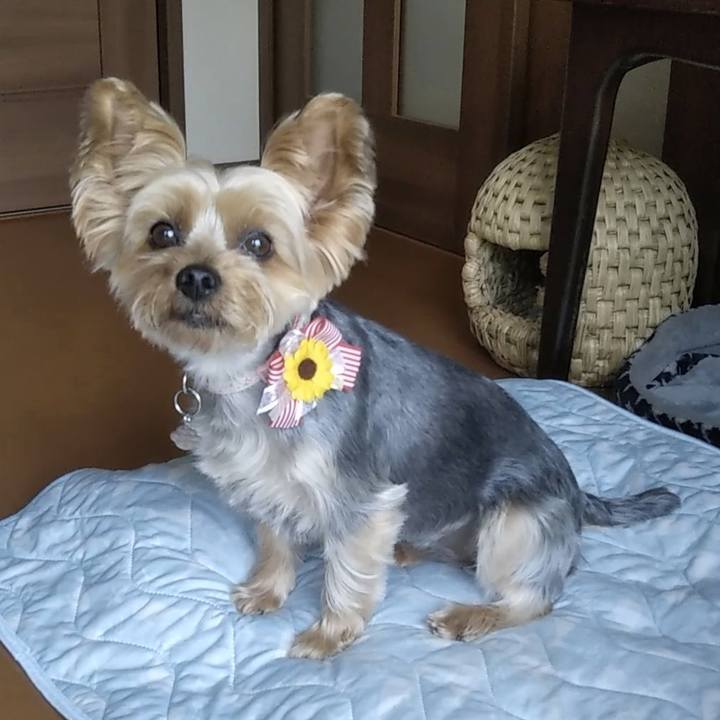 Accb6af1 aa13 4486 8d40 fb0a6a6a2062 1686980970436